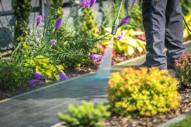 Best Deck and Patio Pressure Washing in West Bishop, CA